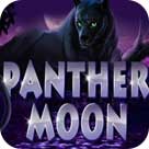 Panther Moon