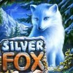 Silver Fox